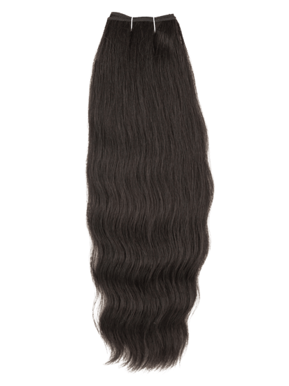BL-EG-12-1B - 1B